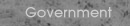  Government